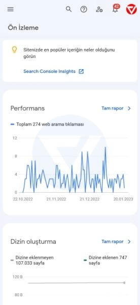 Consola de búsqueda de Google